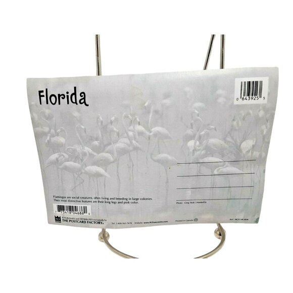 The Postcard Factory Pink Flamingos Florida Tropical coastal retro Spring Break - Picture 2 of 2